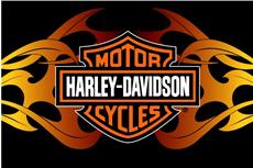 Harley Davidson Flames Rug  39"  x 59"