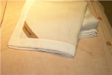 100% Silk Plush Blanket