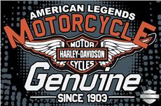 Harley Davidson Hardcore  Rug  39 x 59"