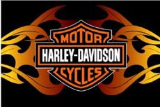 HARLEY-DAVIDSON® Flames20"x30" Rug