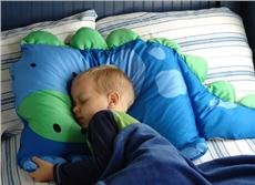 Cozy Companion DYLAN THE DINOSAUR Pillowcase