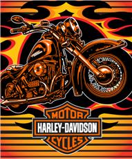 Harley Davidson 3D Waffle Throw