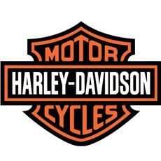 Harley Davidson® Bar & Shield Mural