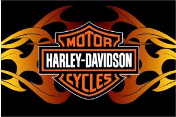 HARLEY-DAVIDSON® Flames20"x30" Rug