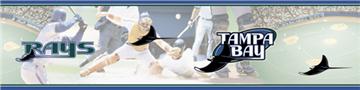TAMPA BAY  RAYS Scenic Wall Border