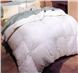 AURORA Snow White Down Comforter