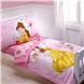 Beauty and the Beast Beautiful Belle 4pc Toddler Set