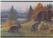 BLACK BEAR LODGE Wallborder