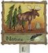 WILDERNESS Night Light