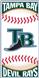 Tampa Bay  Rays Centerfield Beach Towel