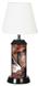 KASEY KAHNE 17" Desk Lamp