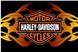 HARLEY-DAVIDSON® Flames20"x30" Rug