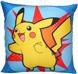POKEMON BURST Decorative Pillow