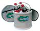 Florida Gators Icebucket/Cooler