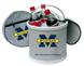 Michigan Wolverines Icebucket/Cooler