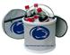 Penn State Lions Icebucket/Cooler