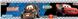 CARS VICTORY LANE Blue/Grey 5" Wall Border