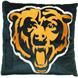 CHICAGO BEARS 16" Plush Pillow