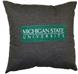 Michigan State 18" Square Pillow