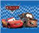 Cars Racing Flag Throw