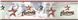 HOUSTON ASTROS Scenic Wall Border