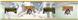 PITTSBURGH PIRATES Scenic Wall Border