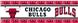 Chicago Bulls Wall Border