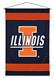 Illinois Fighting Illini Sidelines Wall Hanging