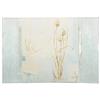 blue-waters-soap-dish