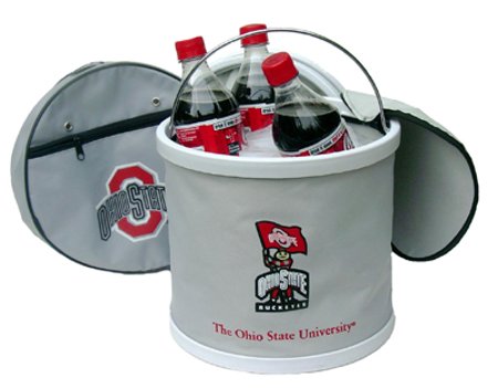 Texas Longhorns Icebucket/Cooler