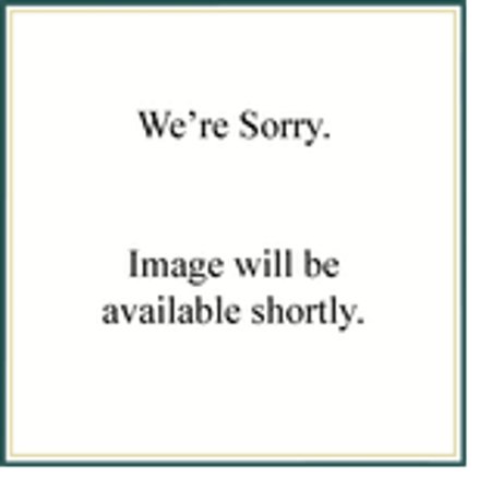 University of Alabama Collegiate Shower Curtain